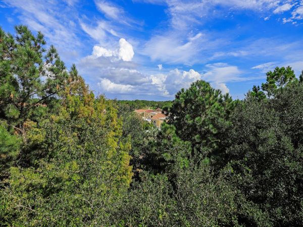 Miramar Beach Vacation Condo with 3 Bedrooms