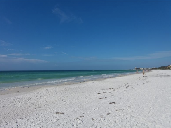Siesta Key Condo 1037539