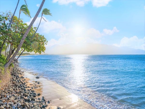 Kihei Ocean View Two Bedroom Vacation Condo