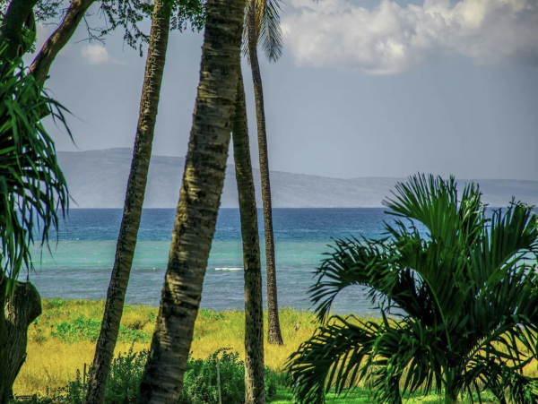 Luxury Beach Estate Maui Main House Guest Residence