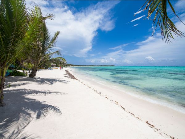 Main Villa & Guest Cottages Luxurious Beach Villa