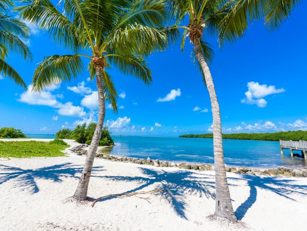 Gorgeous House with 3 Bedrooms and Close to the Beach