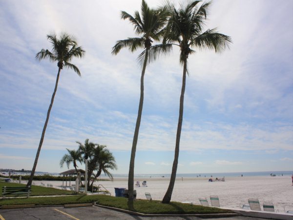 Siesta Key Two bedroom Amazing Condo