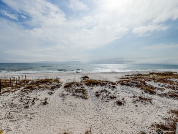 Gulf Shores Eight Bedroom Ocenfront Vacation Rental Home