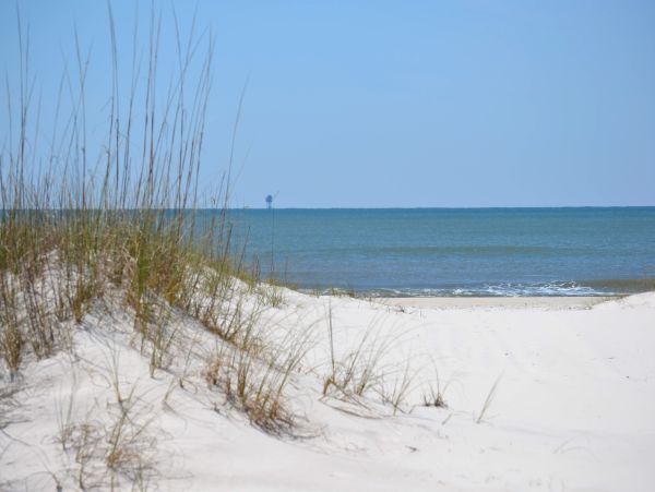 Gulf Shores Eight Bedroom Ocenfront Vacation Rental Home