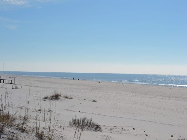 Gulf Shores Eight Bedroom Ocenfront Vacation Rental Home