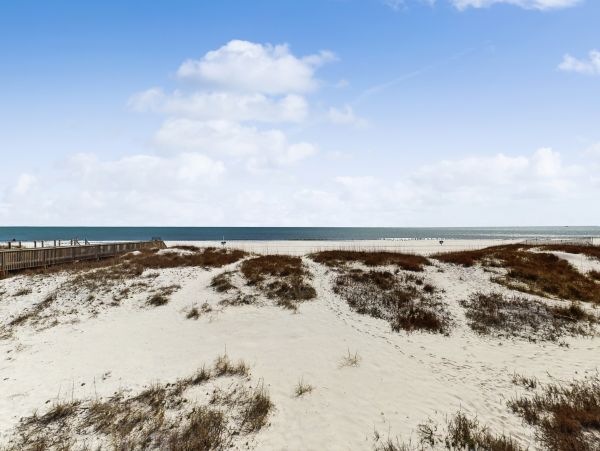 Gulf Shores Eight Bedroom Ocenfront Vacation Rental Home