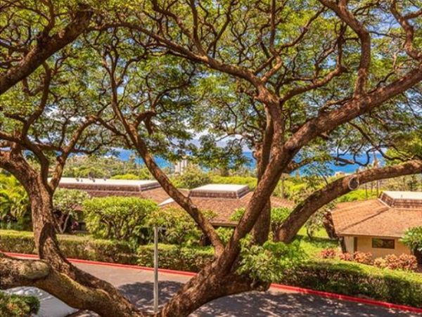 Kaanapali Vacation Condo Three Bedroom Walk to Beach