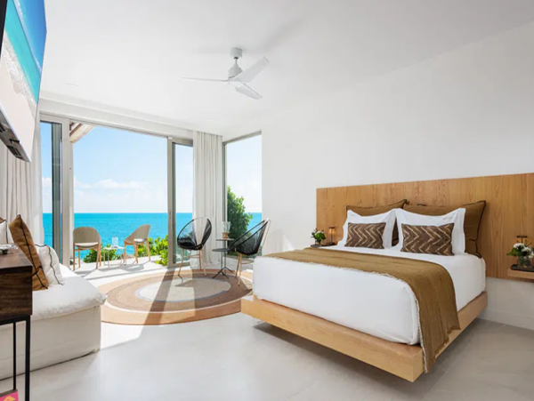 Contemporary Caribbean 9 Bedroom Luxury Rental