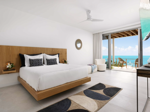 Contemporary Caribbean 9 Bedroom Luxury Rental