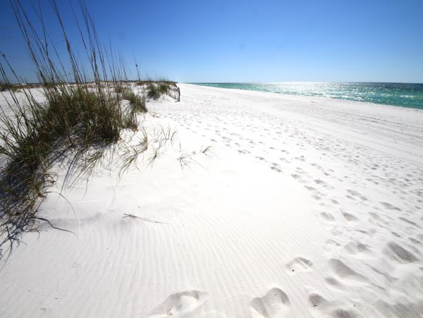 Destin Vacation Condo Three Bedroom Walk to Beach