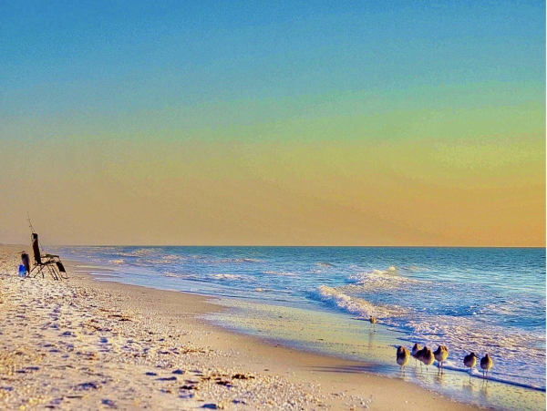 Romantic Ocean Front Setting on Sunny Captiva