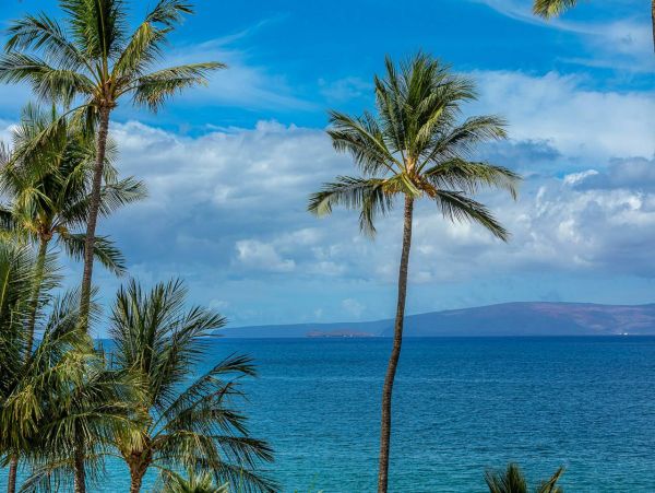 Maui Beachfront Luxury Condo Sleeps 5 Guests