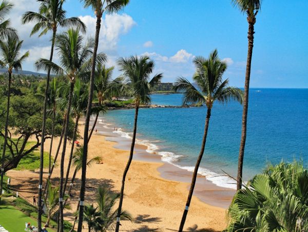 Maui Beachfront Luxury Condo Sleeps 5 Guests