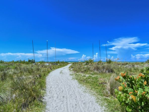Beachfront Three Bedroom Condo Sleeps Eight Guests