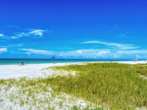 Beachfront Three Bedroom Condo Sleeps Eight Guests