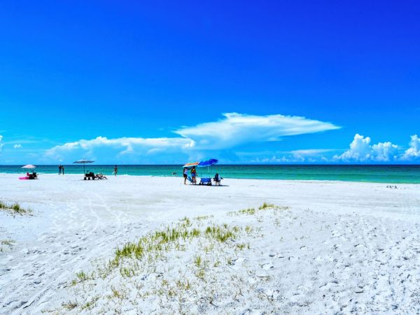 Beachfront Three Bedroom Condo Sleeps Eight Guests