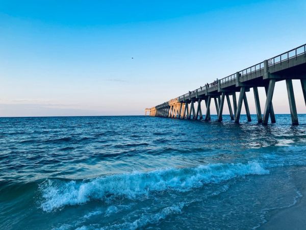 Luxury Gulf Coast Vacation Rental 7-Bedroom Beachfront Estate with Pool