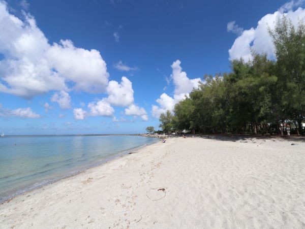 Charming Two Bedroom Vacation Home in Venice Close to Beach