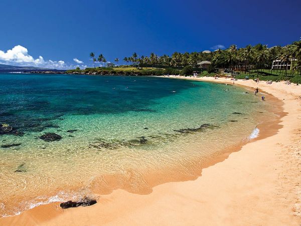 Stunning One Bedroom/One Bathroom Condo Ocean Views