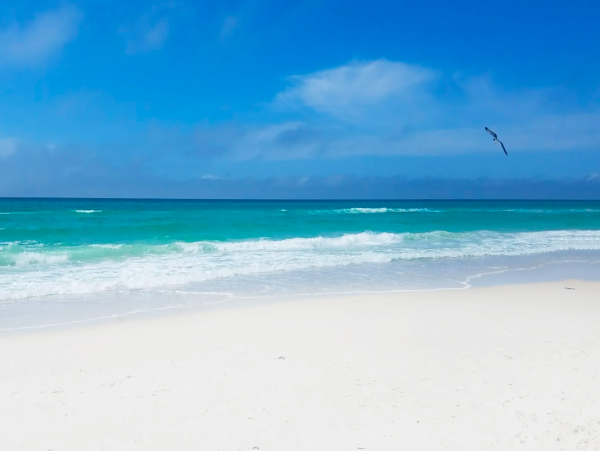 Panama City Beach Vacation Home Short Walk to the Beach