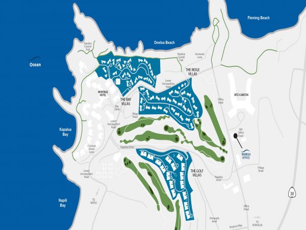 Kapalua Condo 1042759