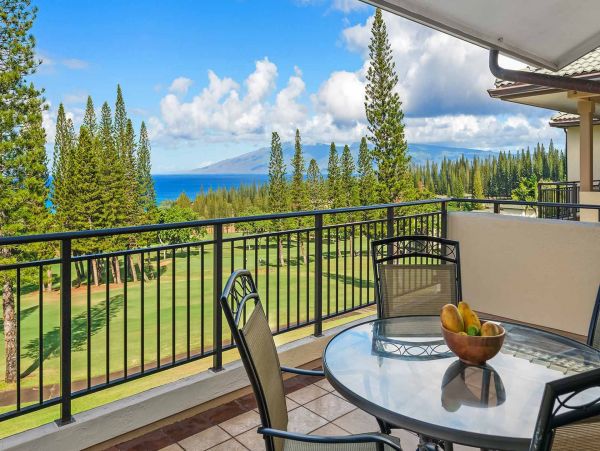 Kapalua Condo 1042767