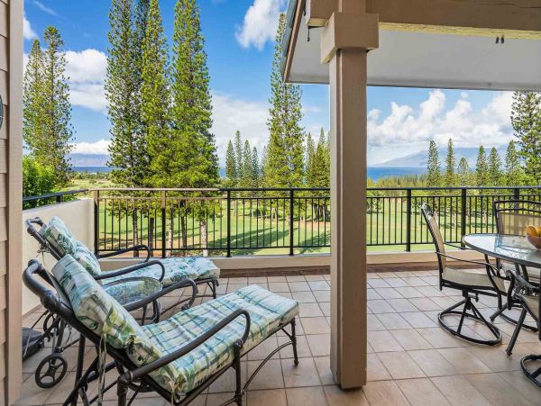 Kapalua Condo 1042767
