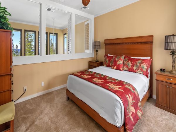 Kapalua Condo 1042767