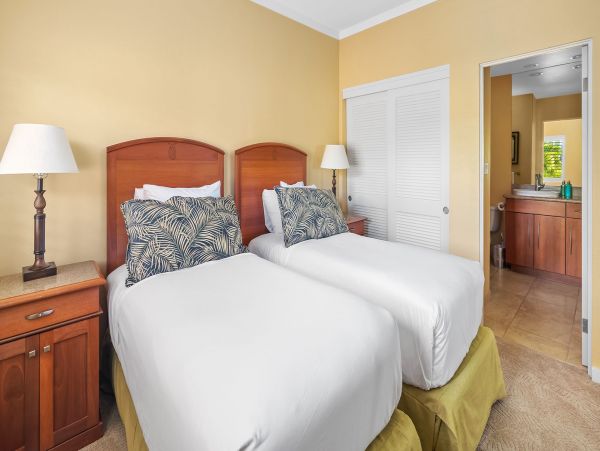Kapalua Condo 1042767