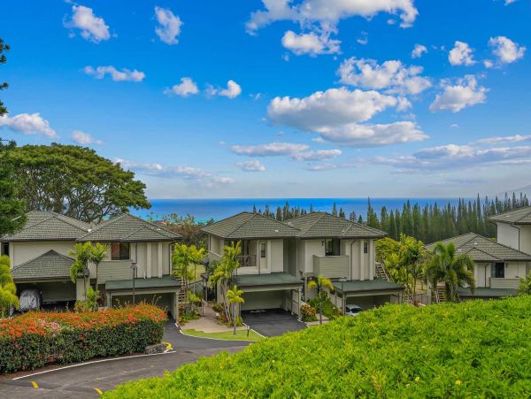 Kapalua Condo 1042767