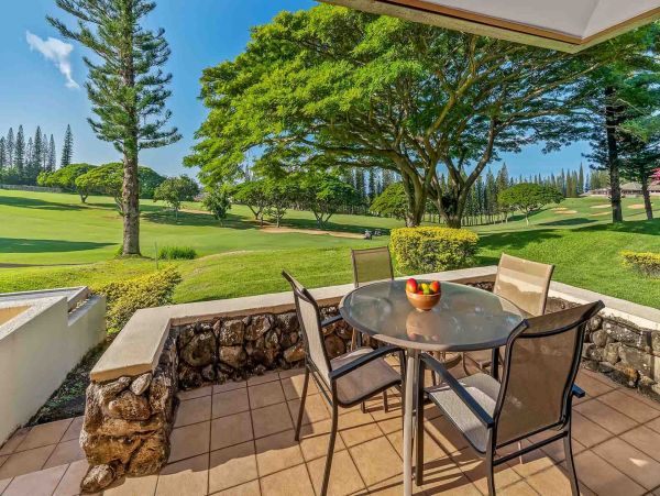 Kapalua Condo 1042771