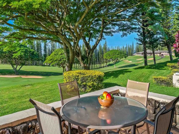 Kapalua Condo 1042771