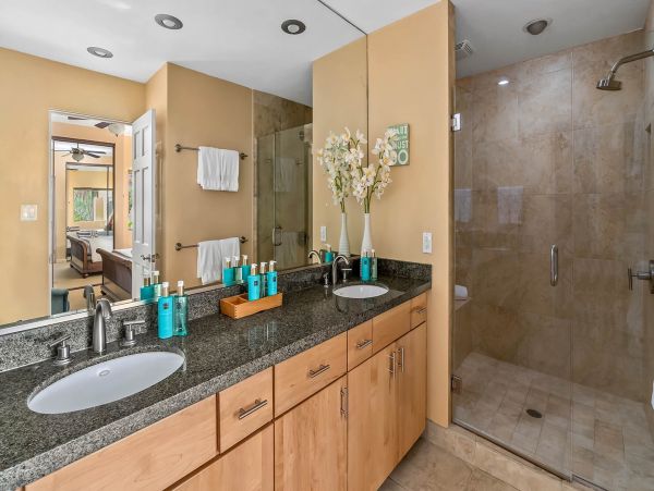 Kapalua Condo 1042771