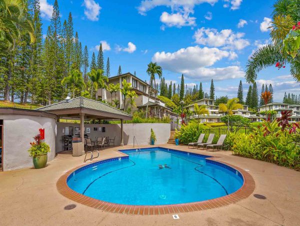Kapalua Condo 1042771