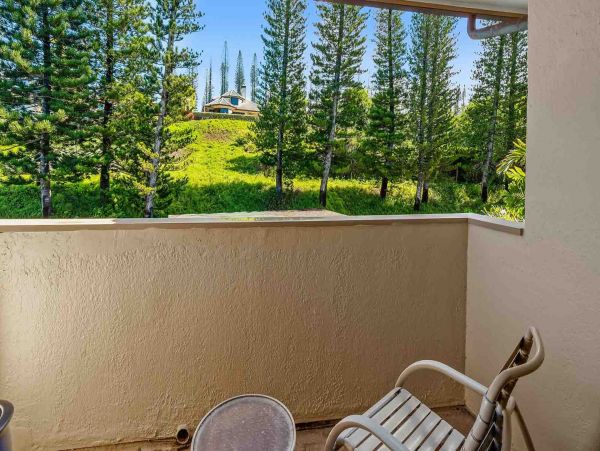 Kapalua Condo 1042777