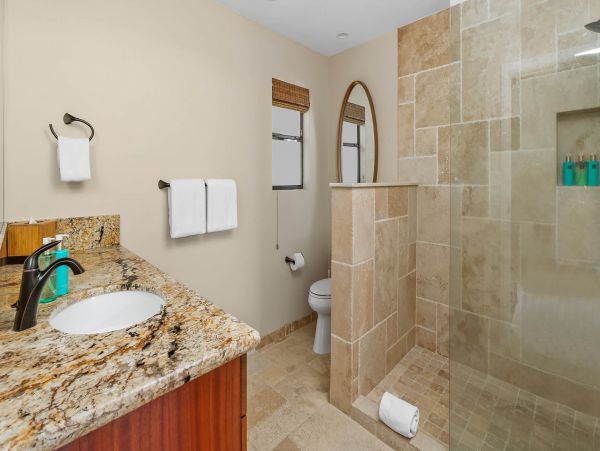 Kapalua Condo 1042777