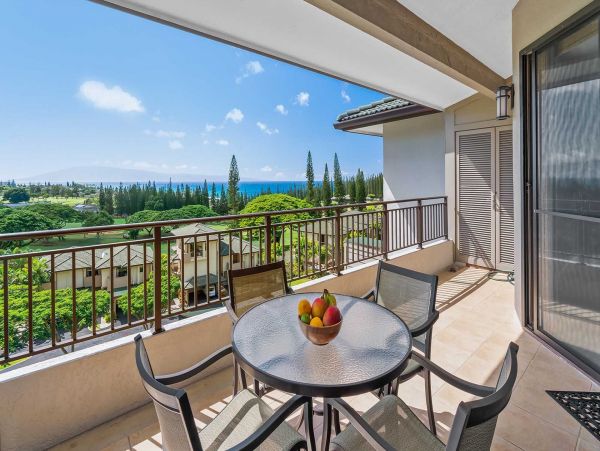 Kapalua Condo 1042778