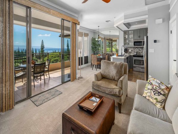 Kapalua Condo 1042778