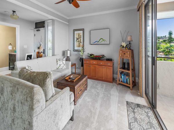 Kapalua Condo 1042778