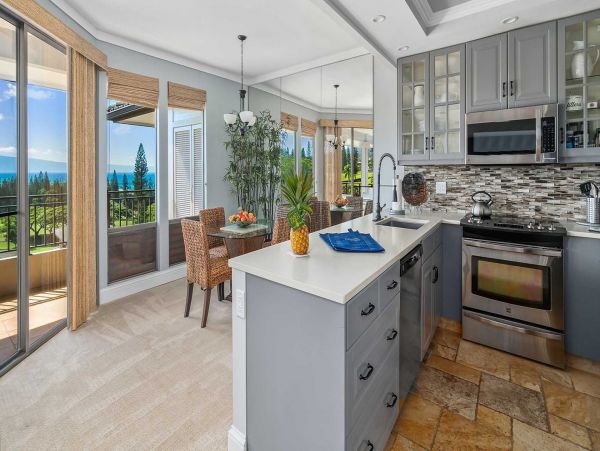 Kapalua Condo 1042778