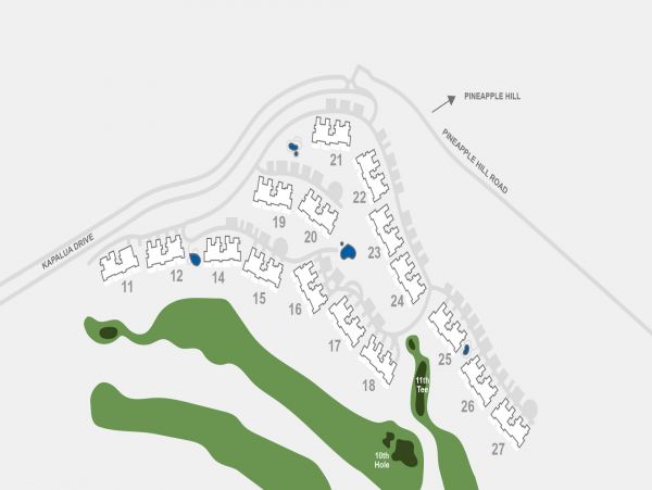 Kapalua Condo 1042778
