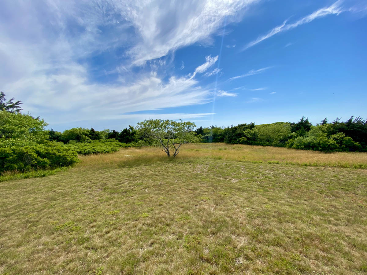 Views of Sankaty Head lighthouse.