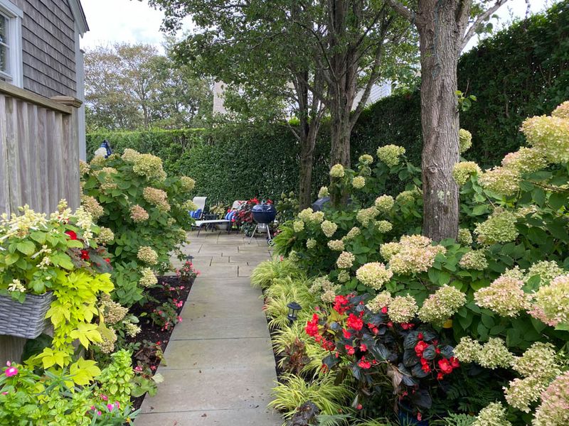 Nantucket Four Bedroom Vacation Rental Near the Beach