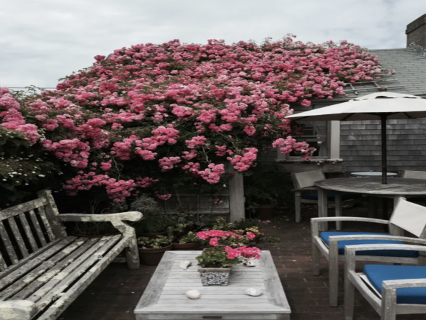 Walk to Beach Nantucket Getaway