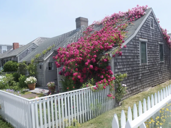 Walk to Beach Nantucket Getaway