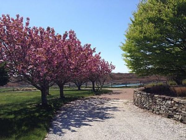 Nantucket Home 1045977