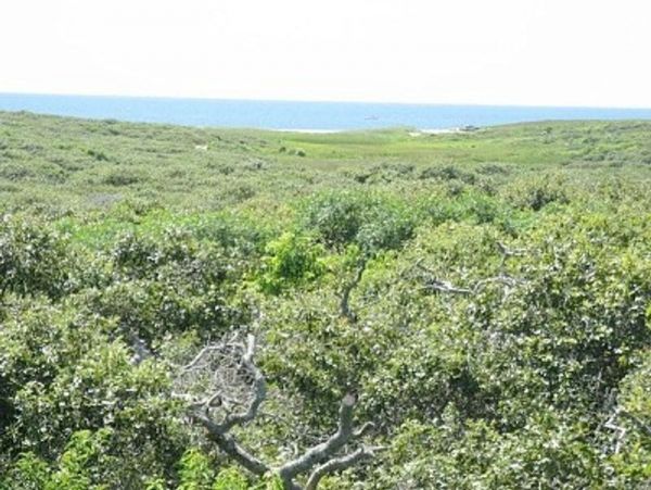 Nantucket Home 1045977