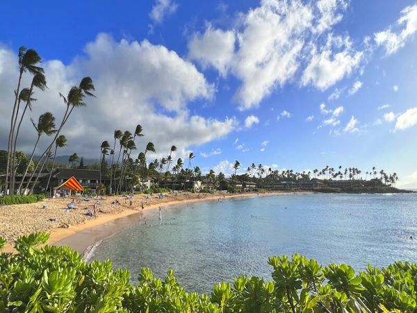Kapalua Vacation Condo Three Bedroom Walk to Beach