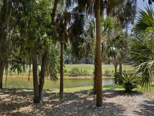 Charming 2 Bedroom Vacation Home in Hilton Head Island